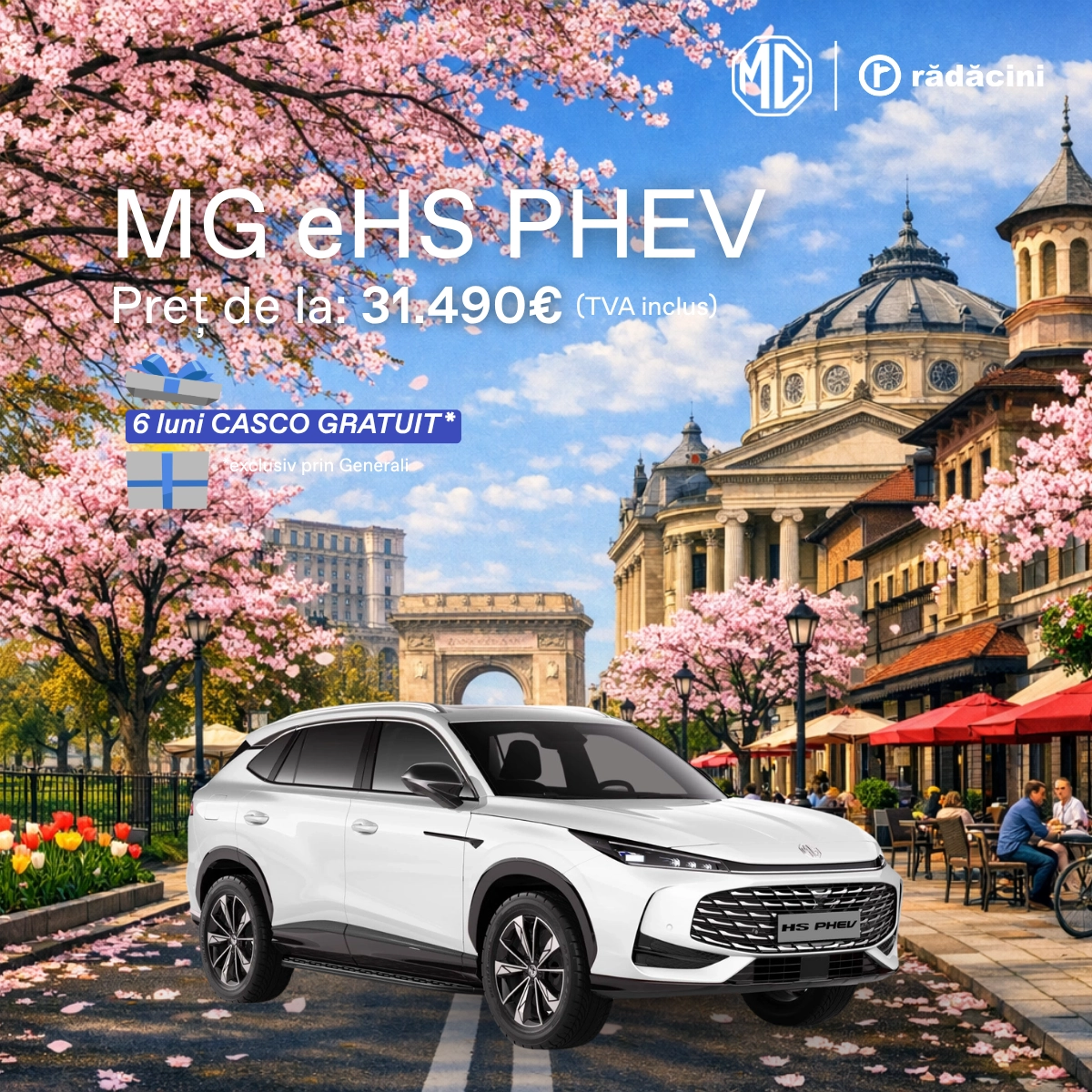 5 Feed Size Mg Ehs Phev