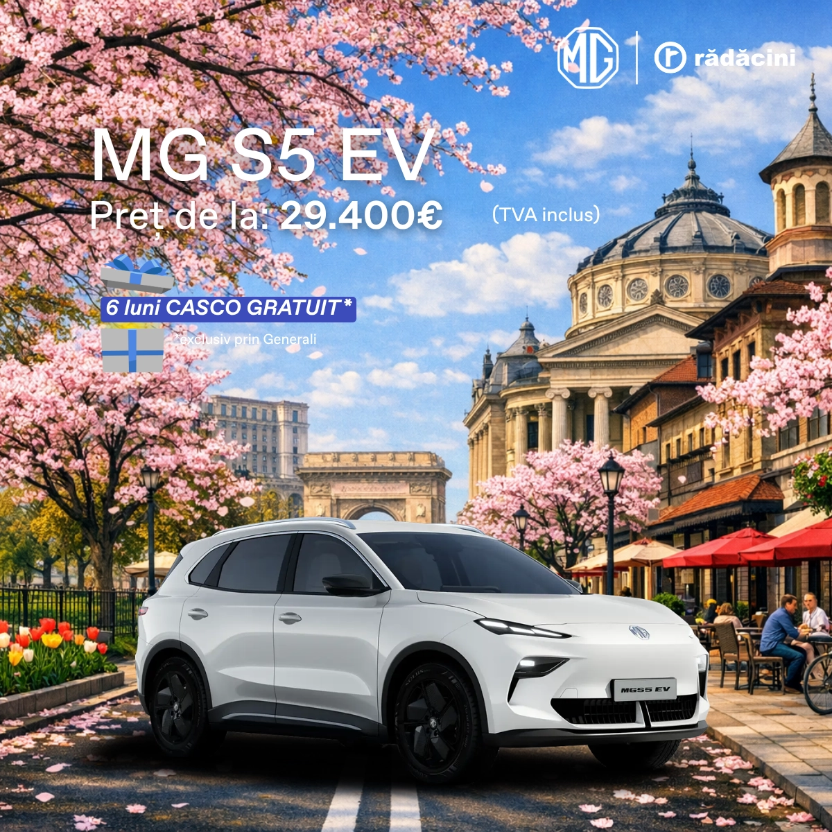 4 Feed Size Mg S5 Ev
