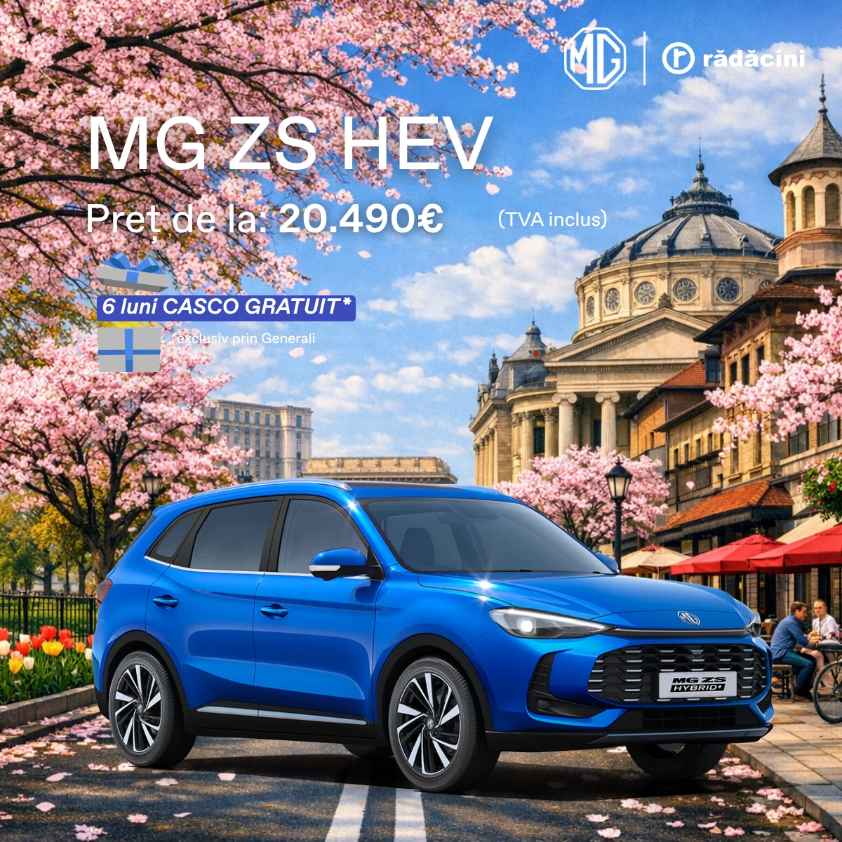 2 Feed Size Mg Zs Hev