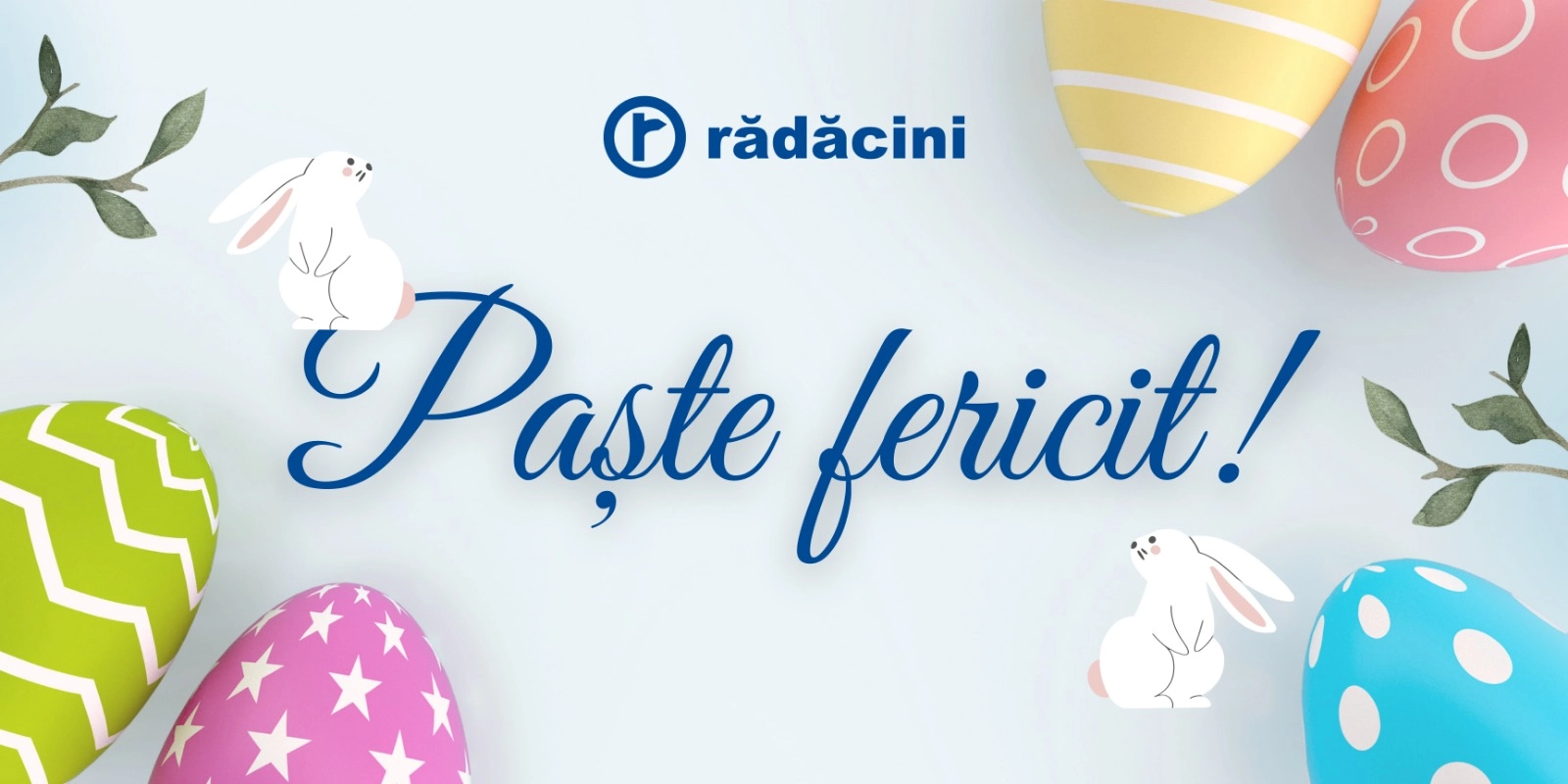 Whatsapp Image 2026 04 09 At 1245 32