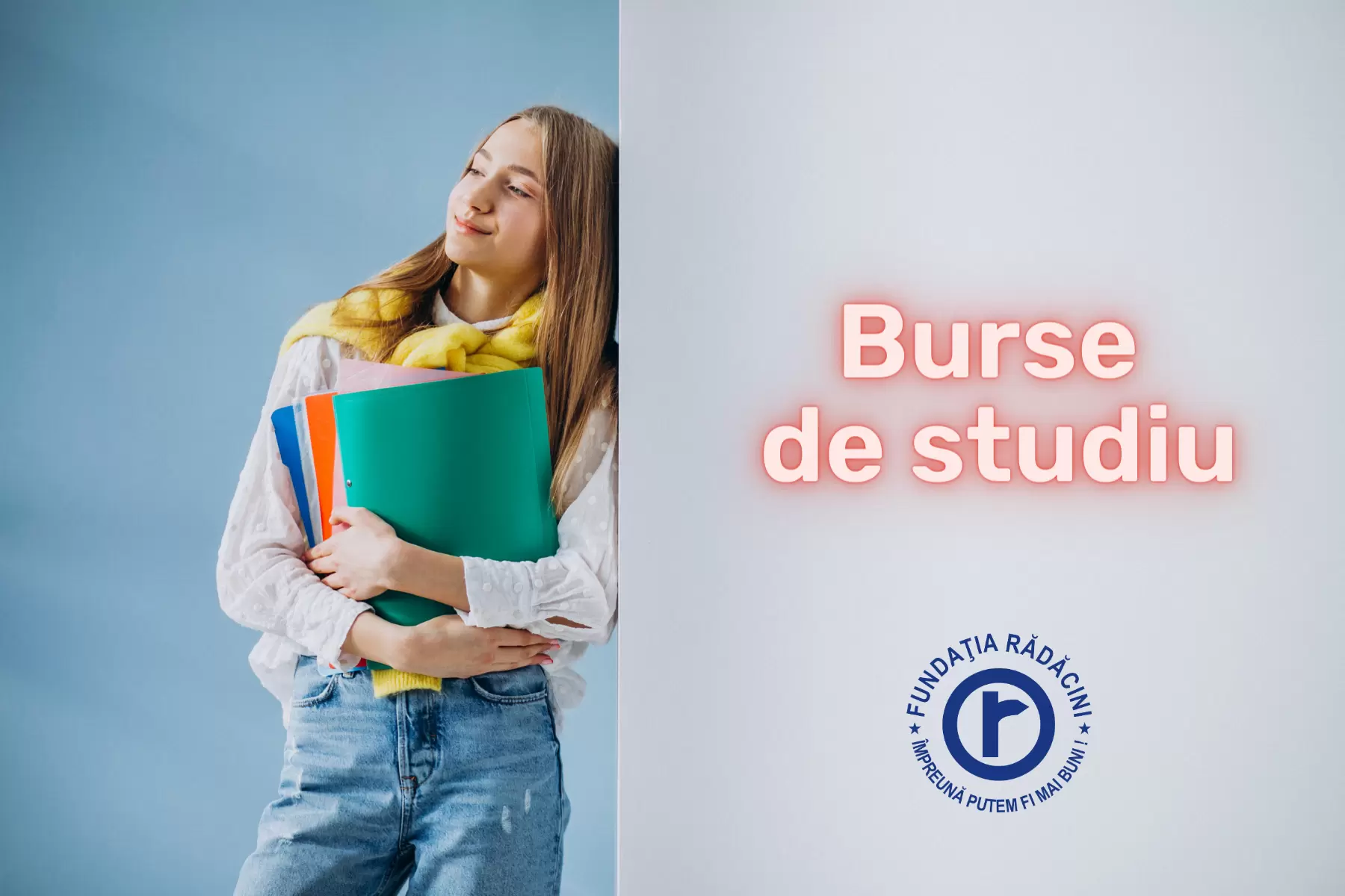 Burse de studiu