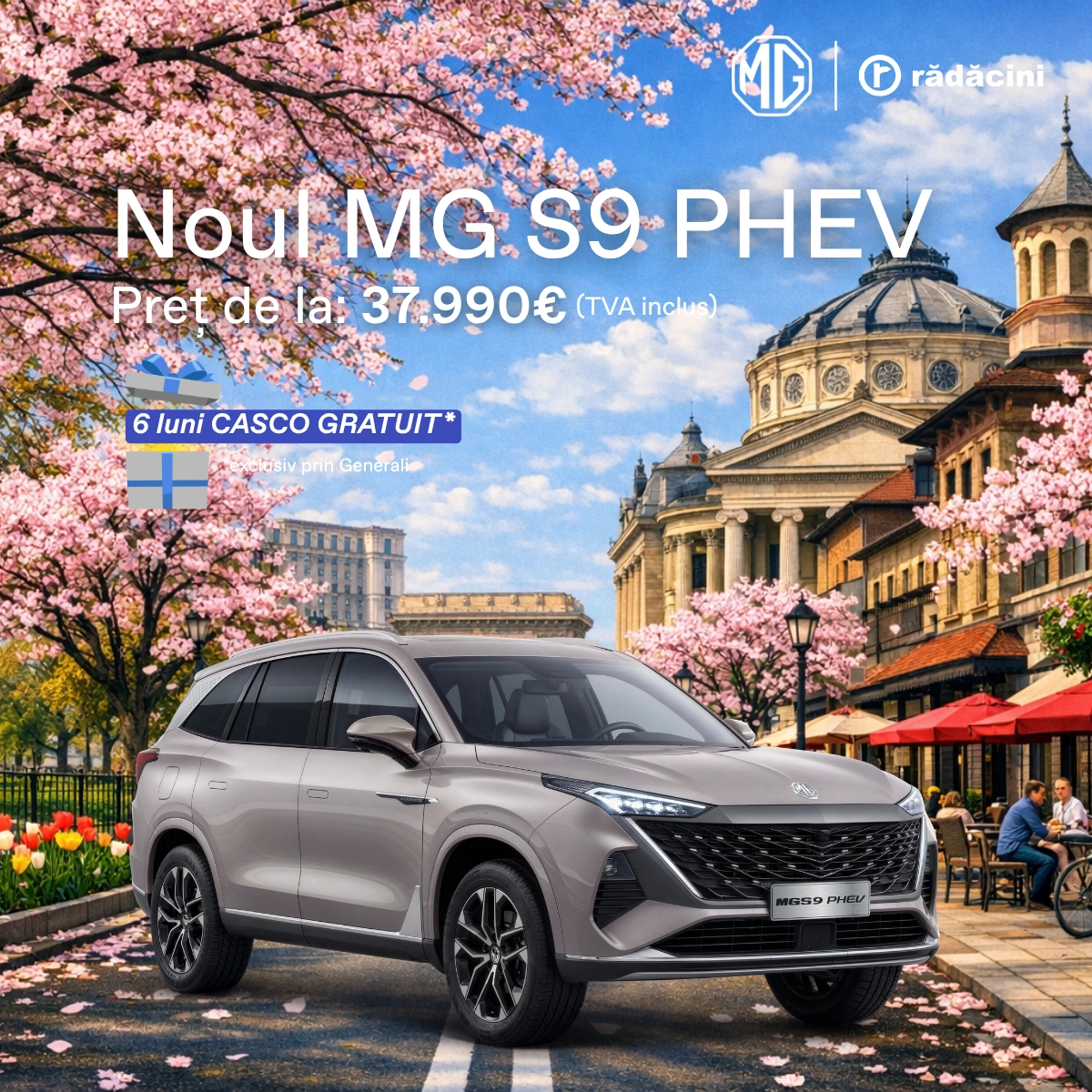 5 Feed Size Mg S9 Phev