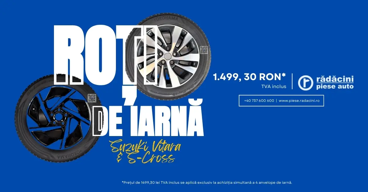 Campanie Roti Iarna Suzuki 1