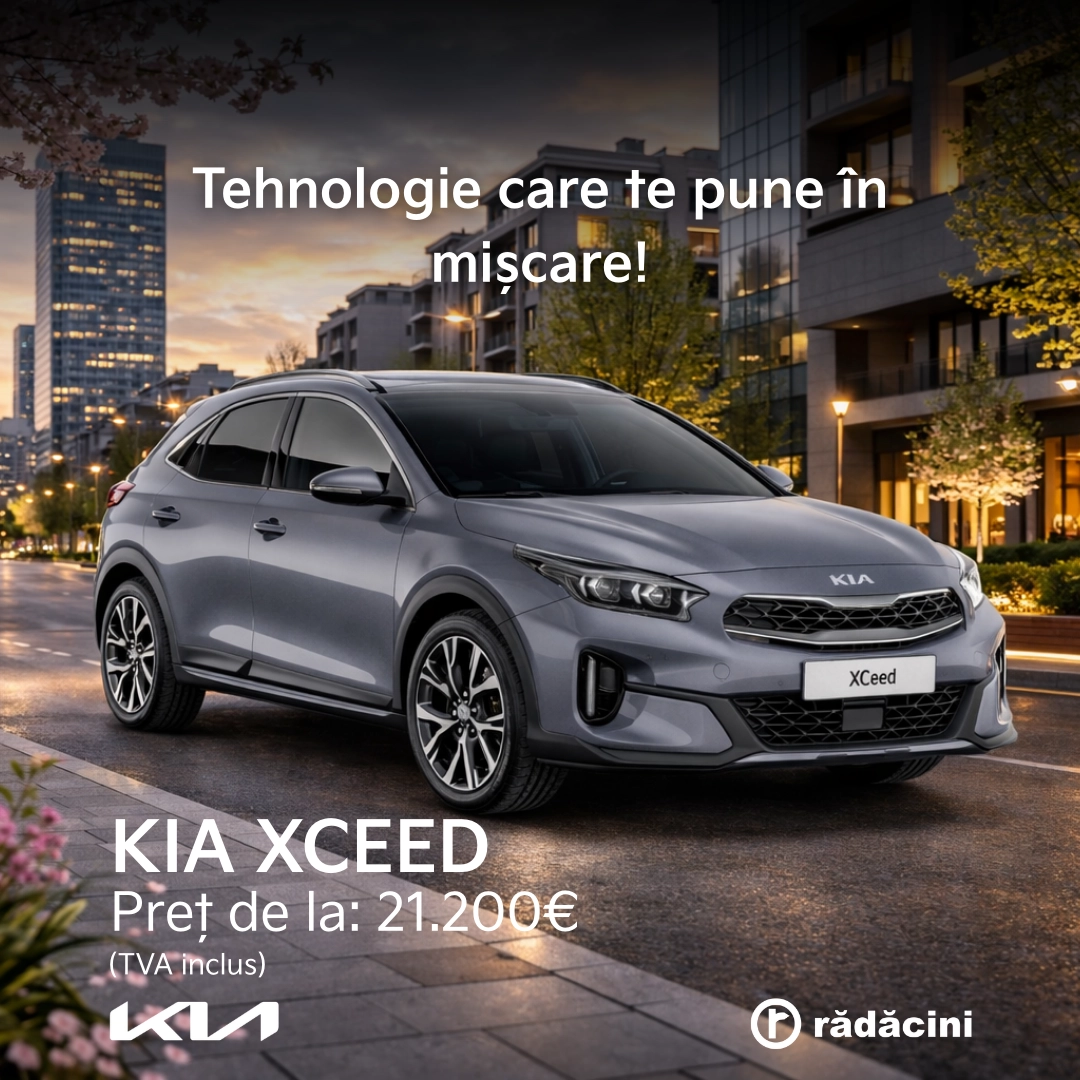 Kia Xceed Feed Size