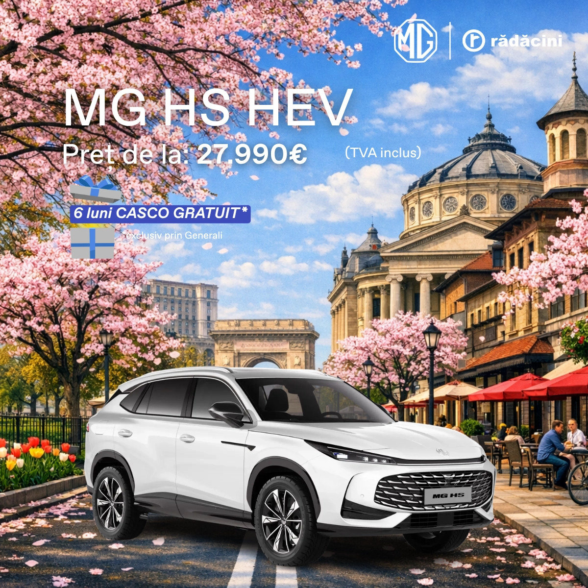 3 Feed Size Mg Hs Hev