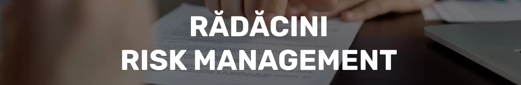 Radacini Risk Management