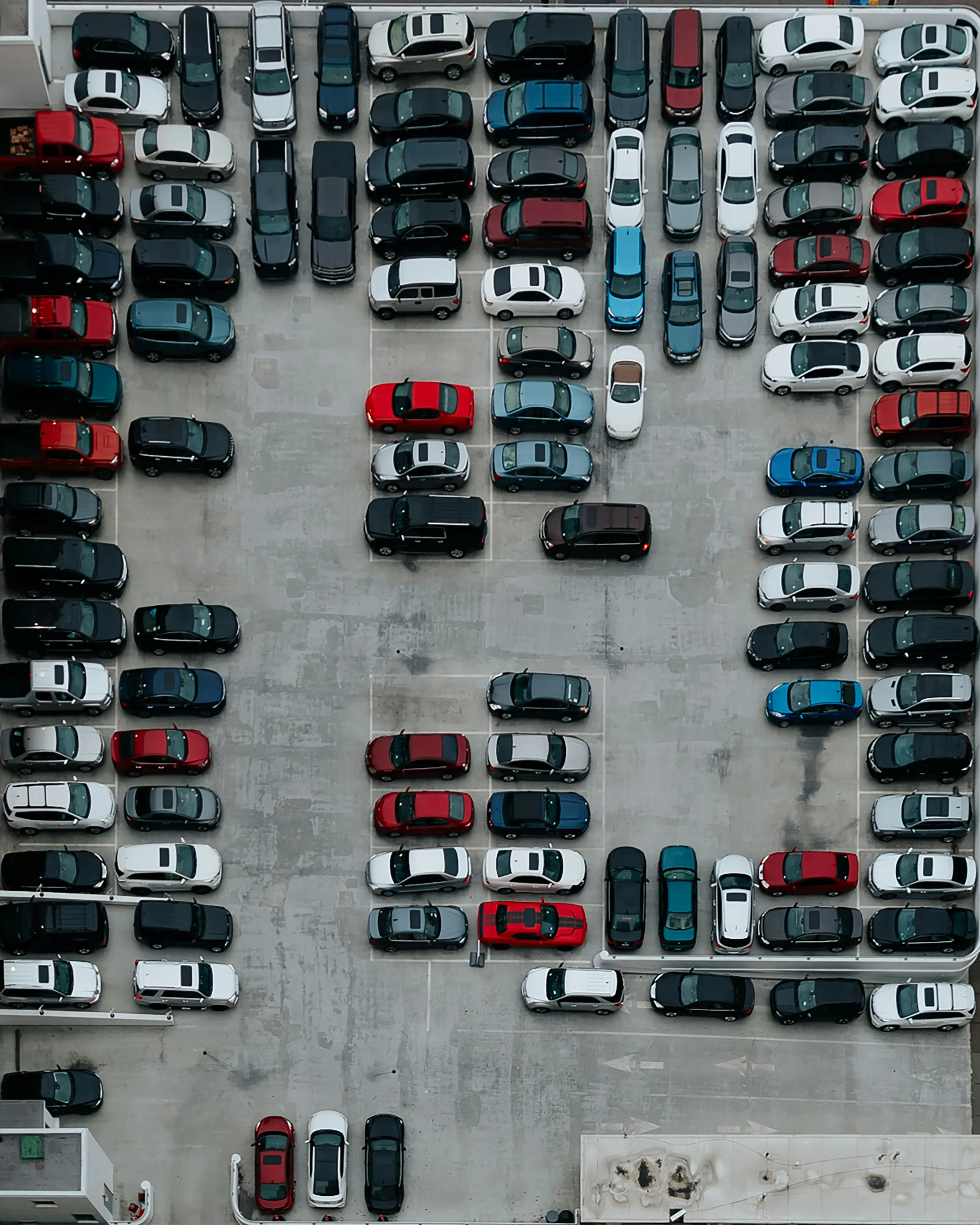 Ivana Cajina Wpvtt0mem00 Unsplash