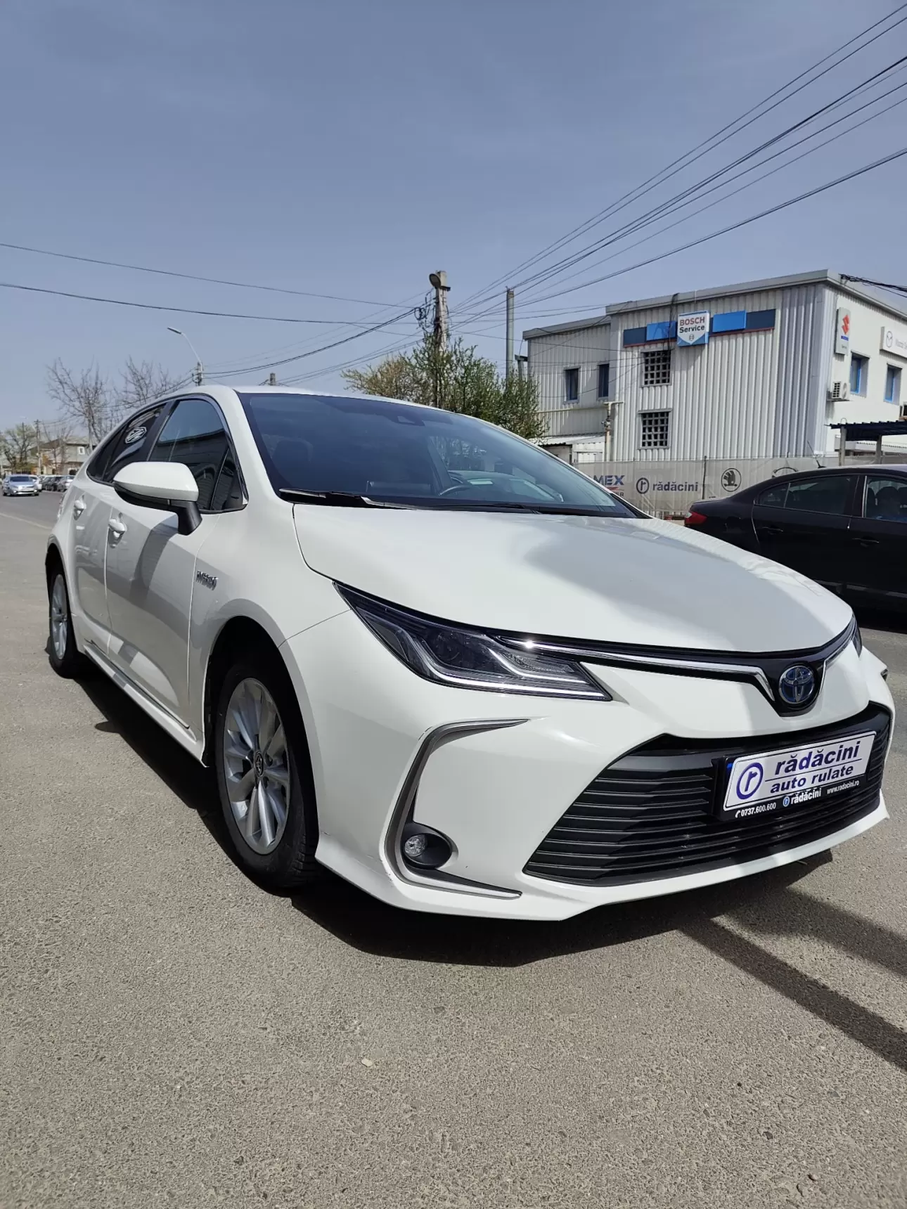 TOYOTA COROLLA Sedan 2019