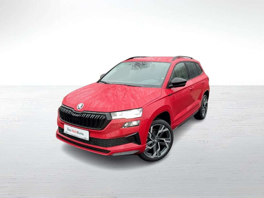 SKODA Karoq 2025 — imagine 19