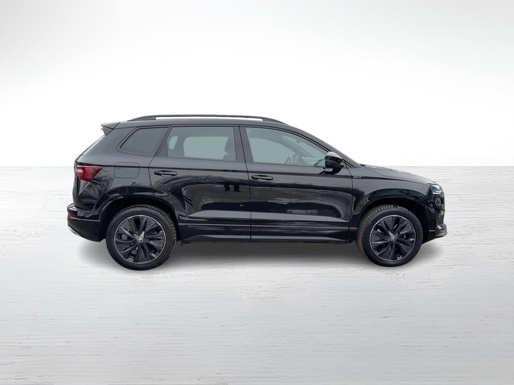SKODA Karoq 2025 — imagine 6