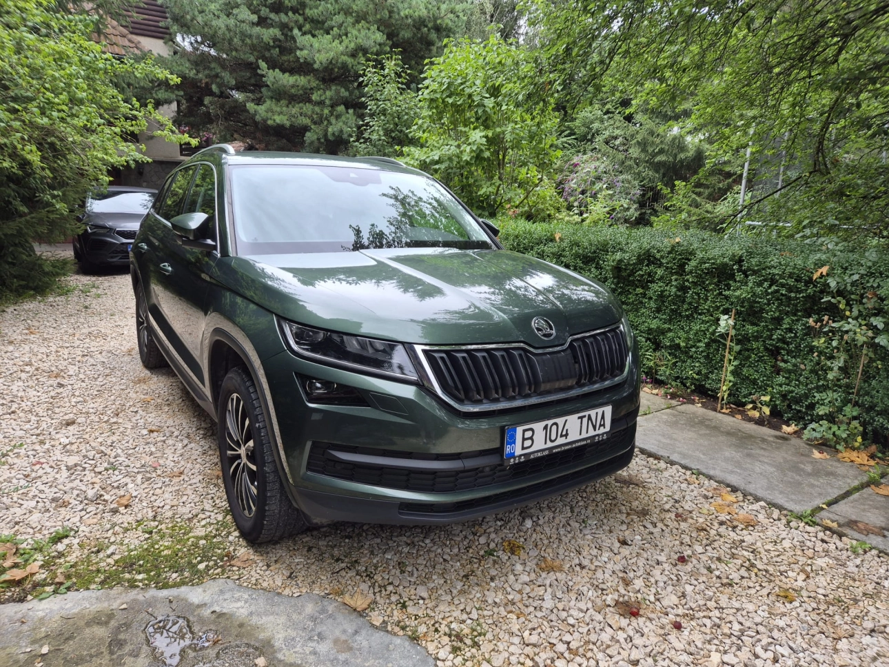 Skoda Kodiaq SUV 2019
