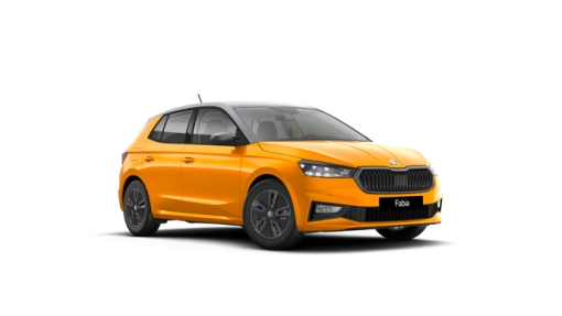 SKODA-Fabia Selection 1.0 TSI-5-usi-SELECTION-Benzina-1.0l