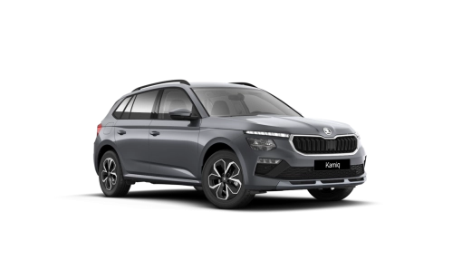 SKODA-Kamiq Selection 1.5 TSI DSG-5-usi-SELECTION-Benzină-1.5l