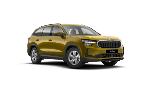 SKODA-Kodiaq Selection 2.0 TDI DSG 4x4-5-usi-SELECTION-Diesel - motorină-2.0l