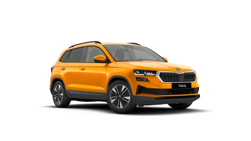 SKODA-Karoq Selection 1.5 TSI DSG-5-usi-SELECTION-Benzină-1.5l