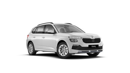 SKODA-Kamiq Selection 1.0 TSI DSG-5-usi-SELECTION-Benzină-1.0l