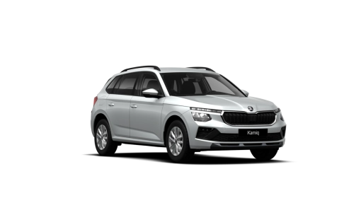 SKODA-Kamiq Selection Plus 1.0 TSI DSG-5-usi-SELECTION-Benzină-1.0l